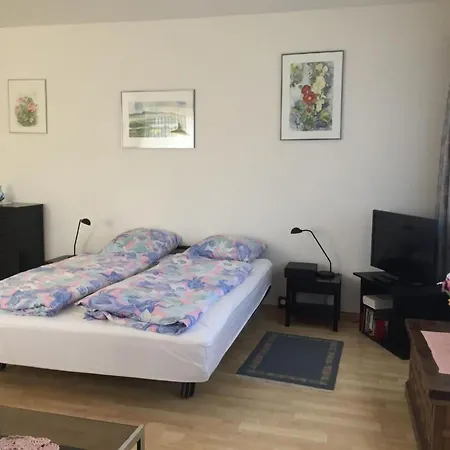 Apartamento Doris By Interhome Locarno