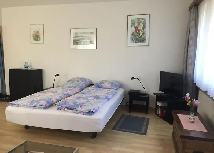 Apartamento Doris By Interhome Locarno