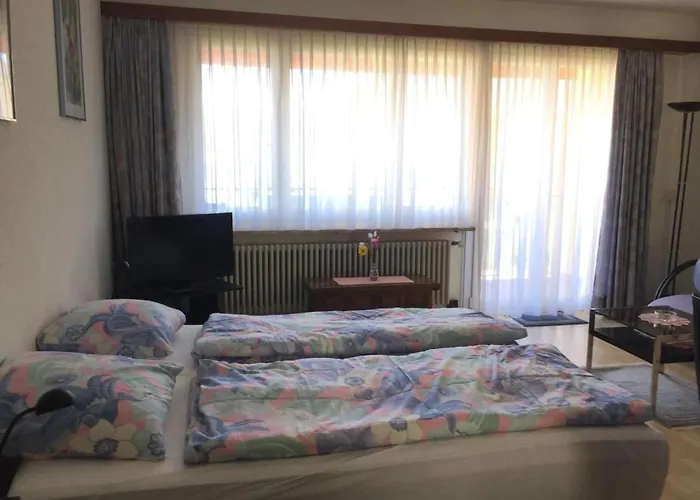 Apartment Doris By Interhome Locarno